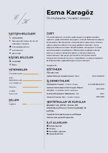 Yönetici Asistanı Cv Örnekleri cv indir